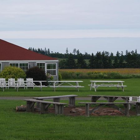 Stanley Bridge Country Resort And Conference Centre Kültér fotó